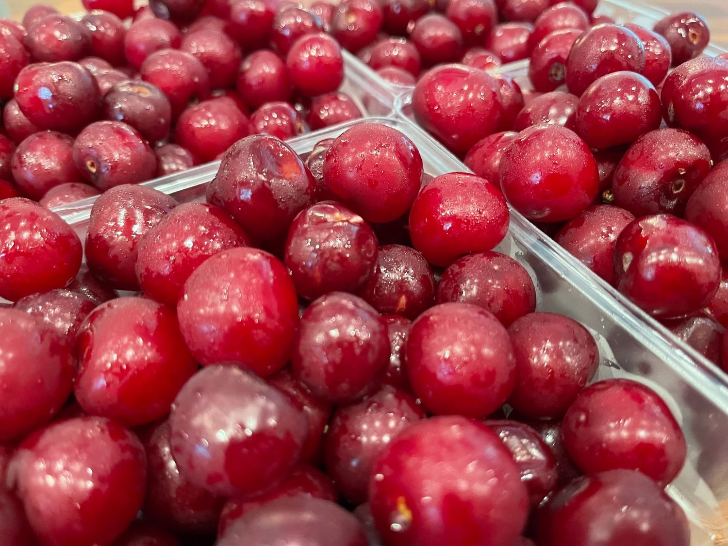 Copycat Luxardo Cherries